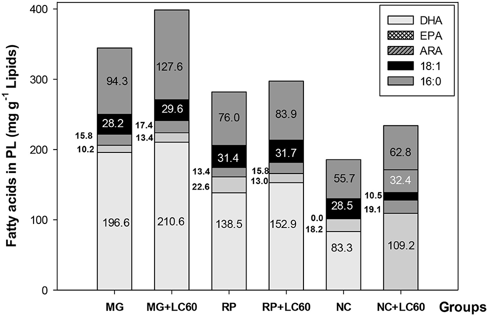 Frontiers Effect Of Short Term Rotifer Enrichment With Marine Phospholipids On Growth Survival And Composition Of Meager Argyrosomus Regius Larvae Marine Science