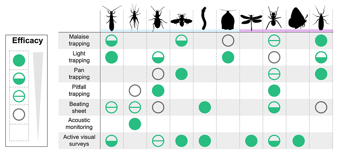 Two-Dimensional Patterning by a Trapping/Depletion Mechanism: The