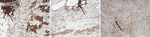 www.frontiersin.org