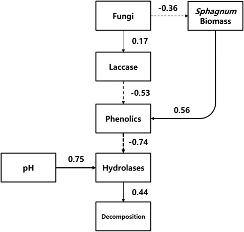 Frontiers  Meteorological Controls on Water Table Dynamics in Fen  Peatlands Depend on Management Regimes