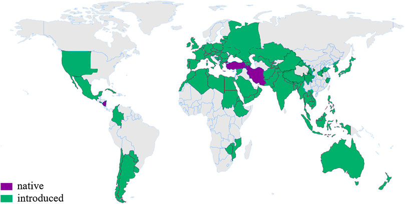 www.frontiersin.org