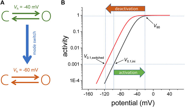 voltage gated ion channels