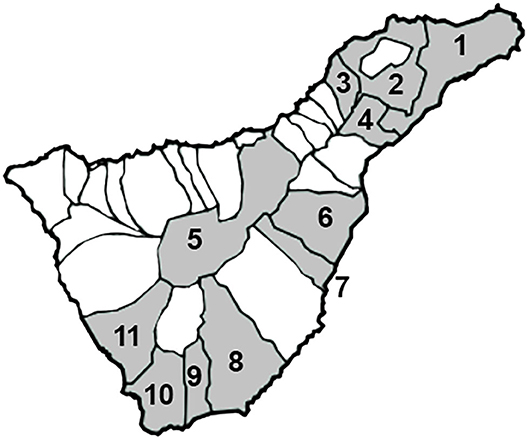 www.frontiersin.org