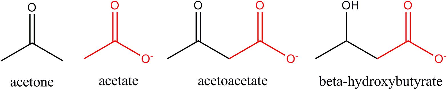 Frontiers  Acetate Revisited: A Key Biomolecule at the Nexus of  Metabolism, Epigenetics, and Oncogenesis – Part 2: Acetate and ACSS2 in  Health and Disease