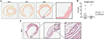 www.frontiersin.org