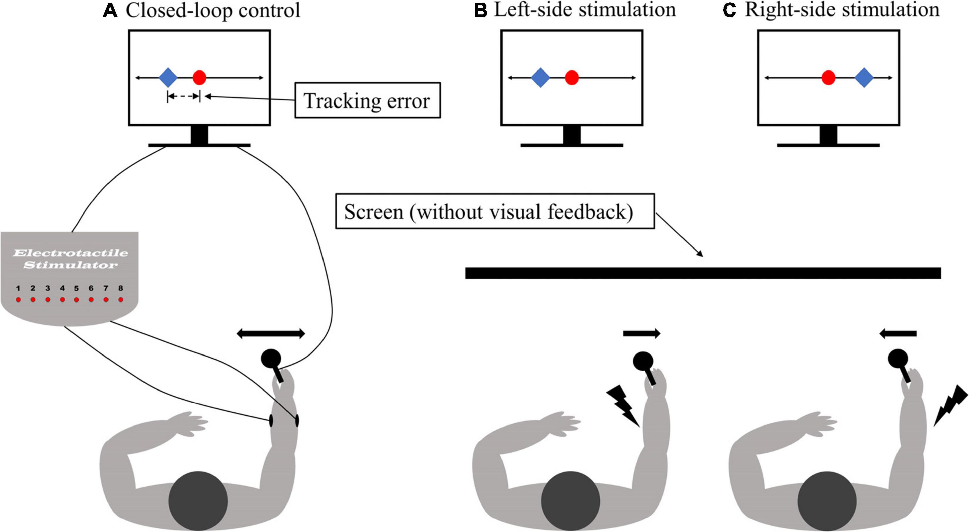 Targeted transcutaneous electrical nerve stimulation for phantom limb  sensory feedback