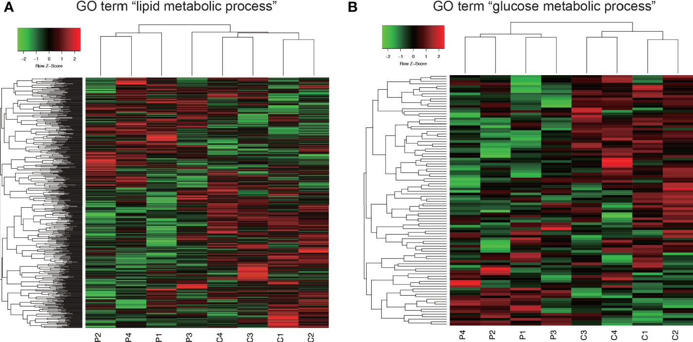 Frontiers | Endotoxemia by Porphyromonas gingivalis Alters Frontiers | Endotoxemia by Porphyromonas gingivalis Alters