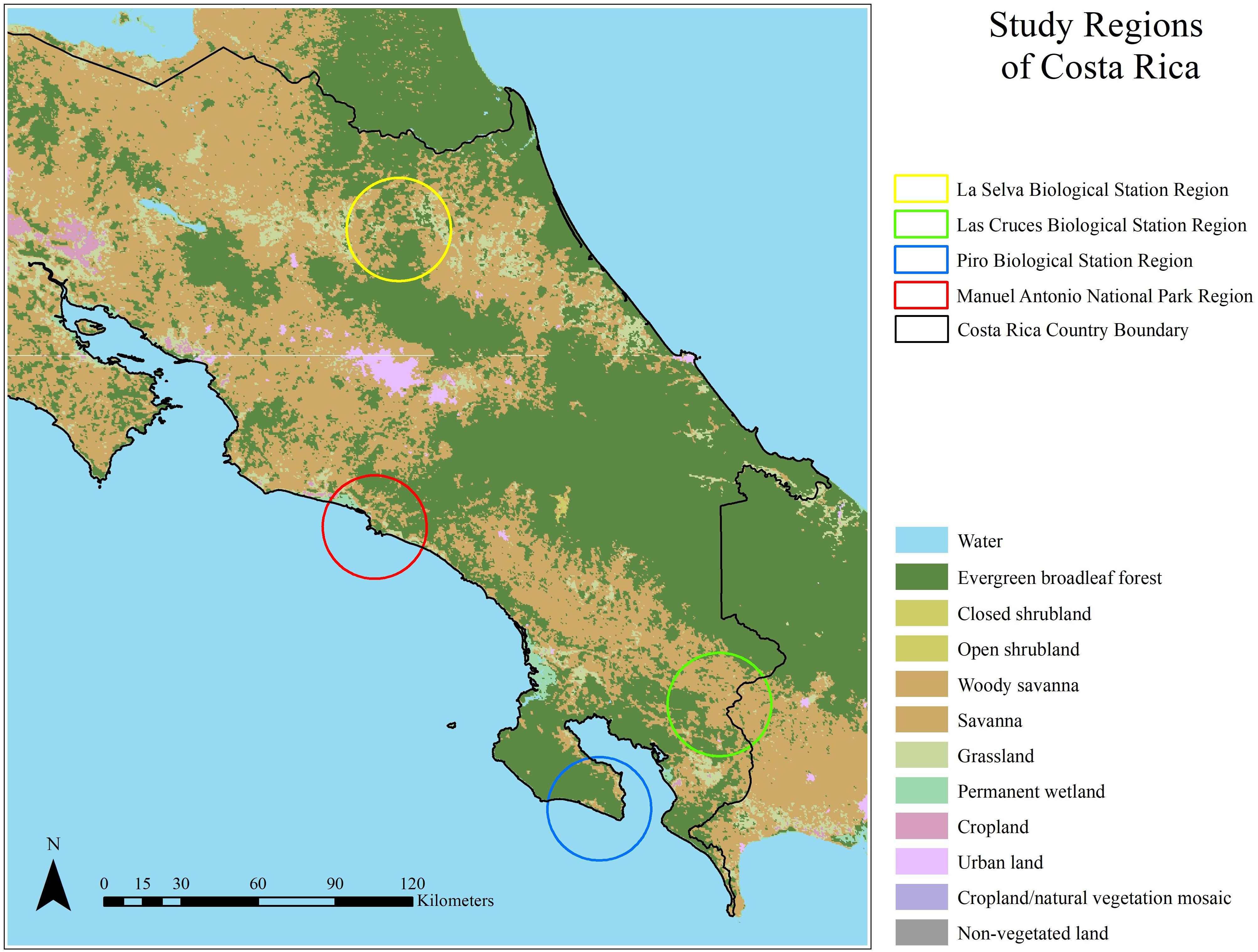 Spiders of Costa Rica - Tropical Ecology