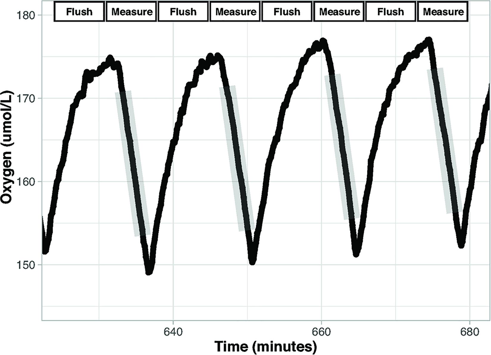 Daily flushing regimen with simple implant ma