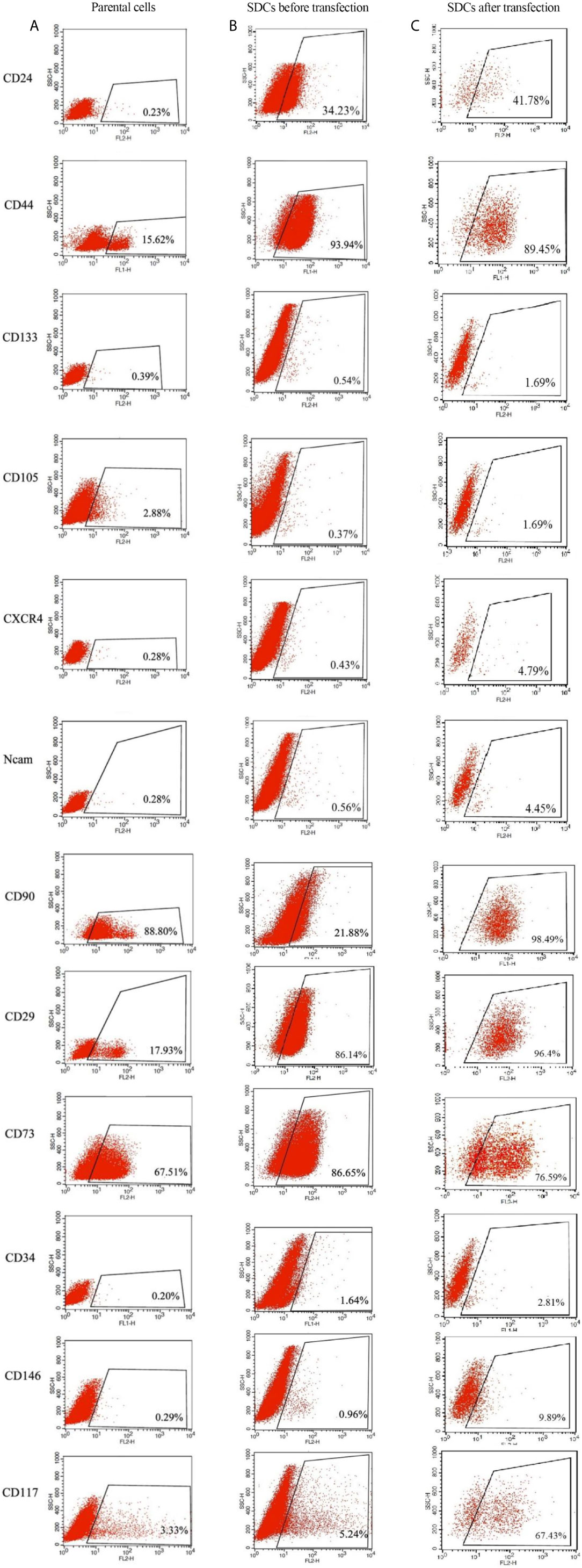 Frontiers | SMAD4 Expression in Renal Cell Carcinomas