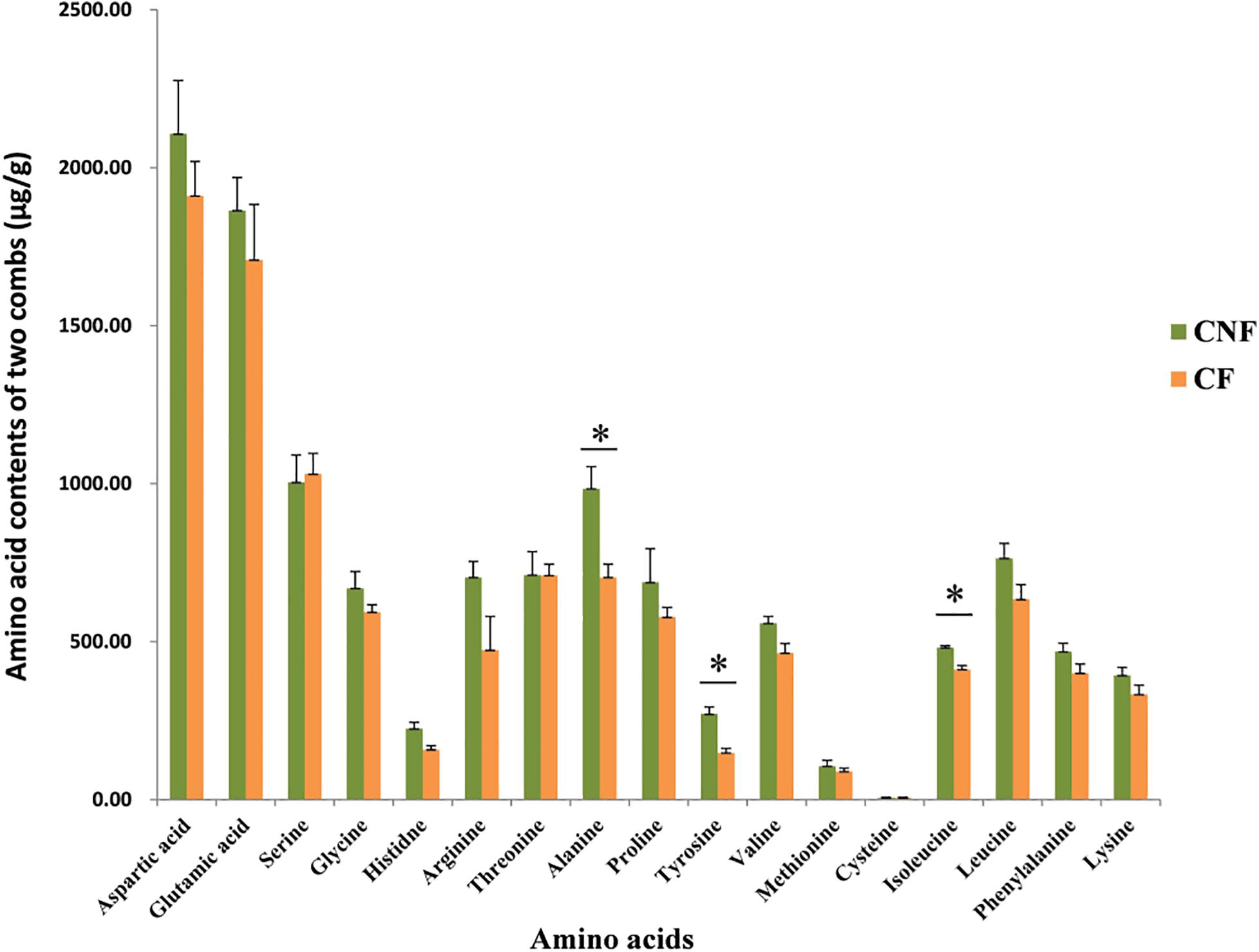 Termitomyces clypeatus  Descriptions of Fungi and Bacteria