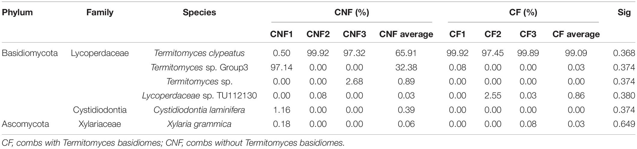 Termitomyces clypeatus  Descriptions of Fungi and Bacteria