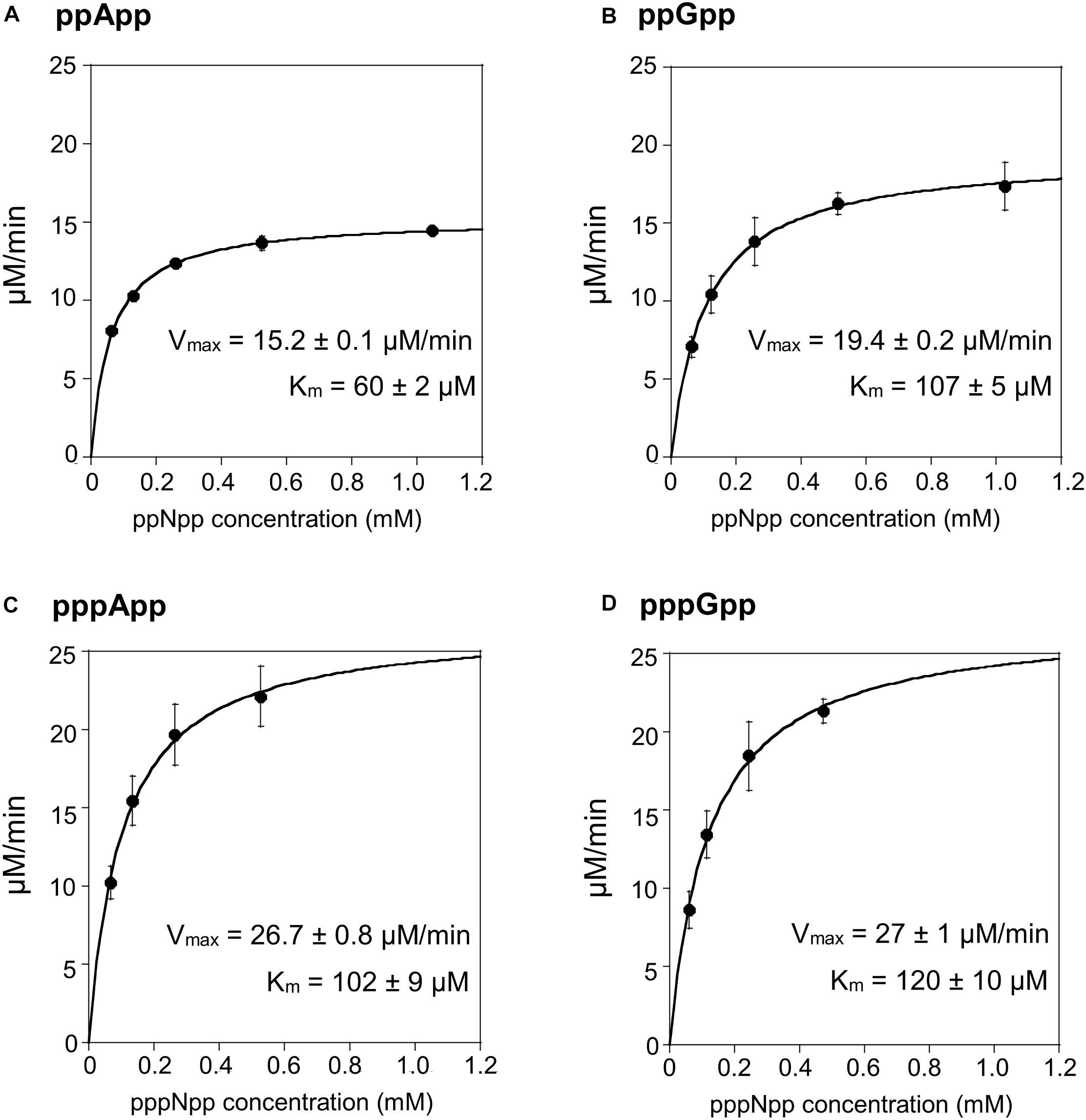 handcuffs For a day trip oasis Frontiers | Estimates of RelSeq, Mesh1, and SAHMex Hydrolysis of (p)ppGpp and (p)ppApp by Thin Layer Chromatography and NADP/NADH Coupled Assays handcuffs For a day trip oasis Frontiers | Estimates of RelSeq, Mesh1, and SAHMex Hydrolysis of (p)ppGpp and (p)ppApp by Thin Layer Chromatography and NADP/NADH Coupled Assays