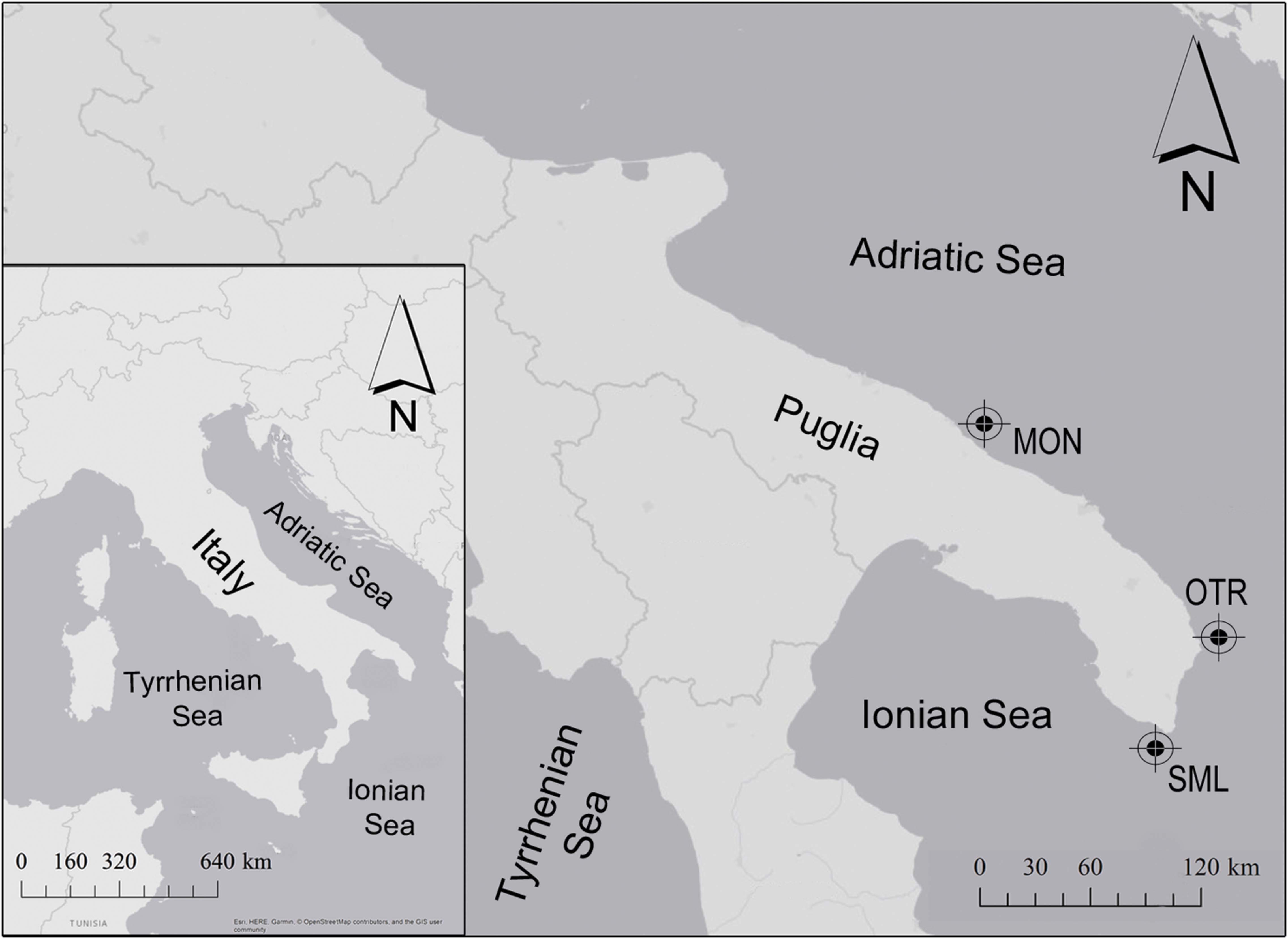 www.frontiersin.org