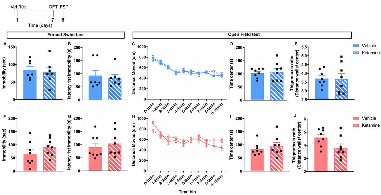 Frontiers Sex Differences In The Sustained Effects Of Free Download