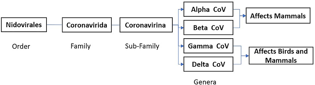 www.frontiersin.org
