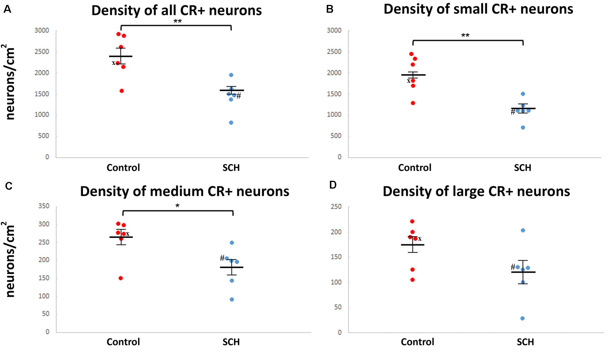 Frontiers Evidence For Decreased Density Of Calretinin Immunopositive Neurons In The Caudate Nucleus In Patients With Schizophrenia Frontiers In Neuroanatomy