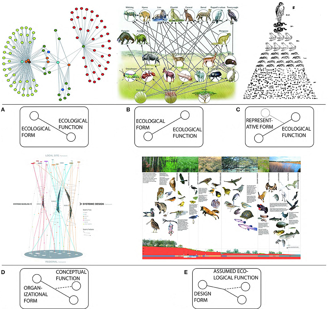 Frontiers | Designing (for) Urban Food Webs