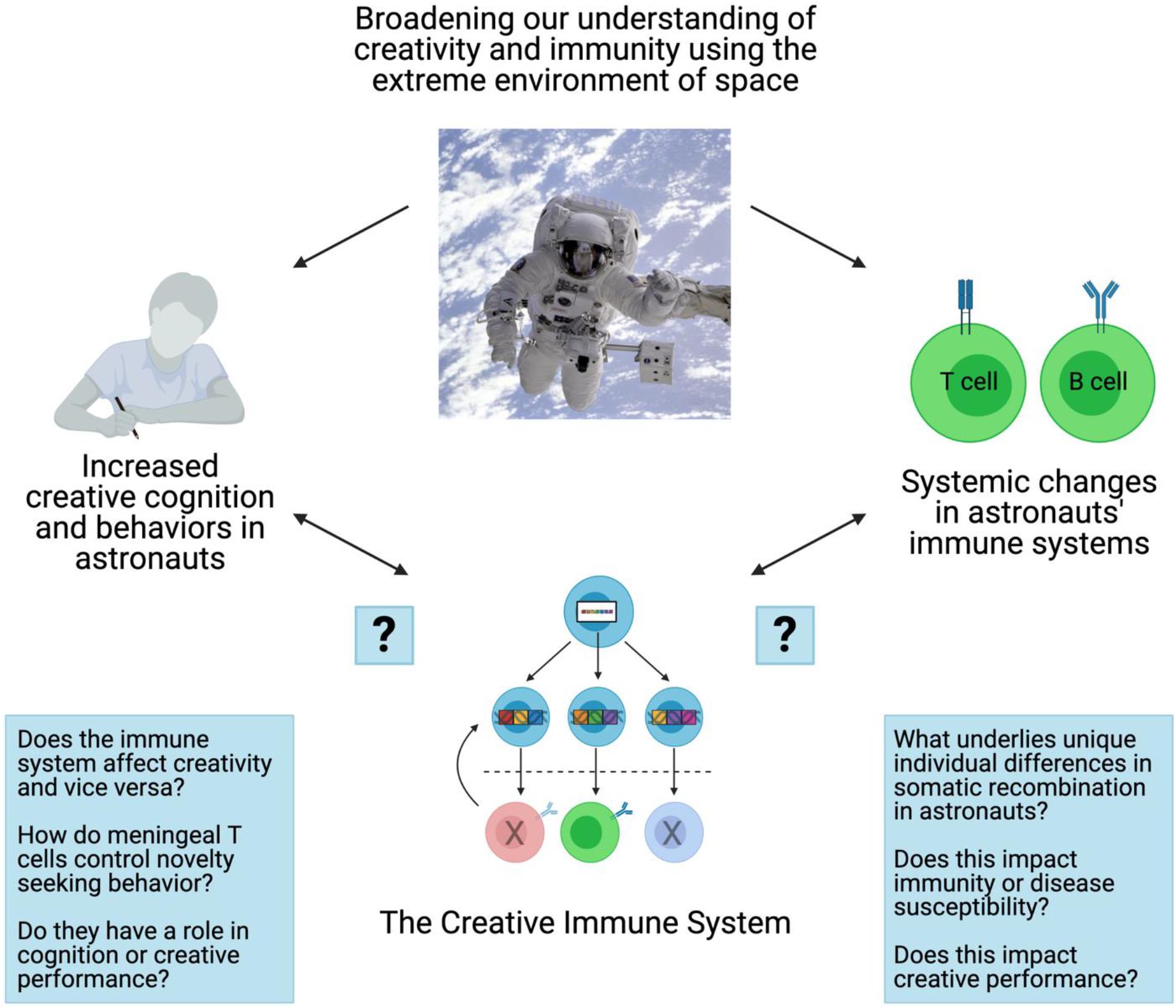 How Breath and the Cold Can Support Your Immune System – BRINK –  Conversations and Insights on Global Business