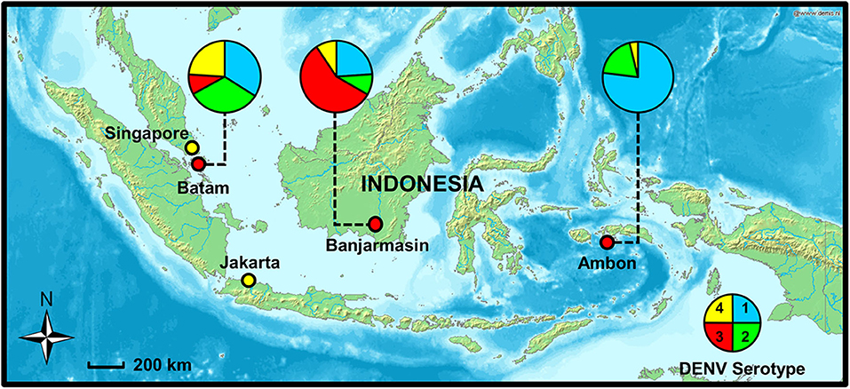 www.frontiersin.org