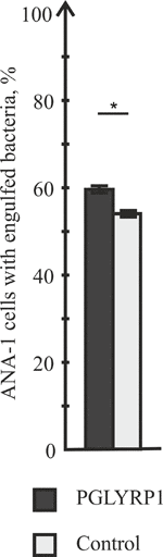 www.frontiersin.org
