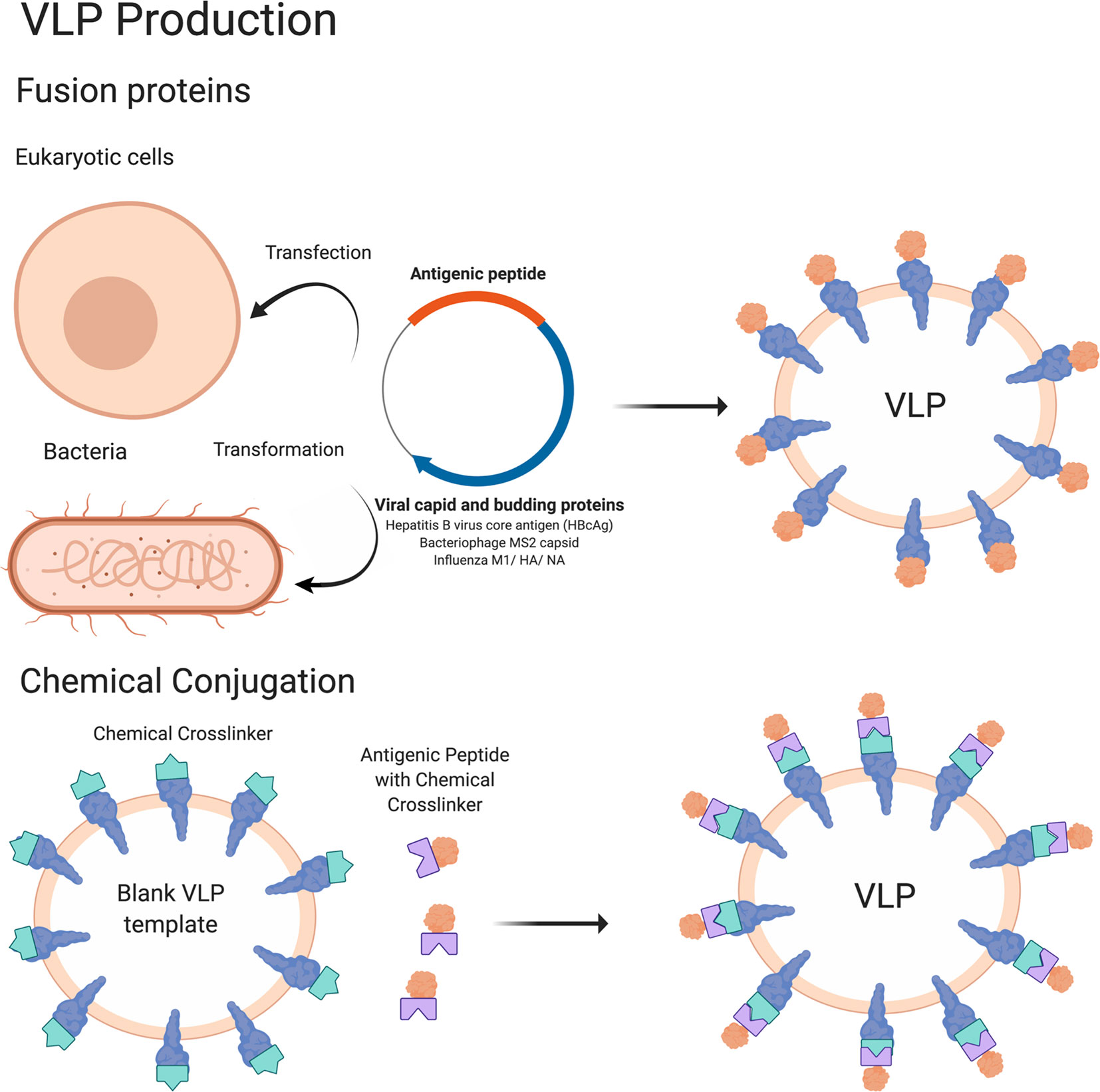 Frontiers | Emerging Concepts and Technologies in Vaccine Development