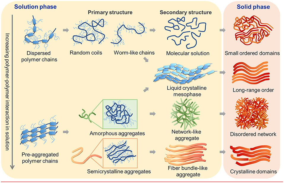 Controlling morphology and microstructure of conjugated polymers