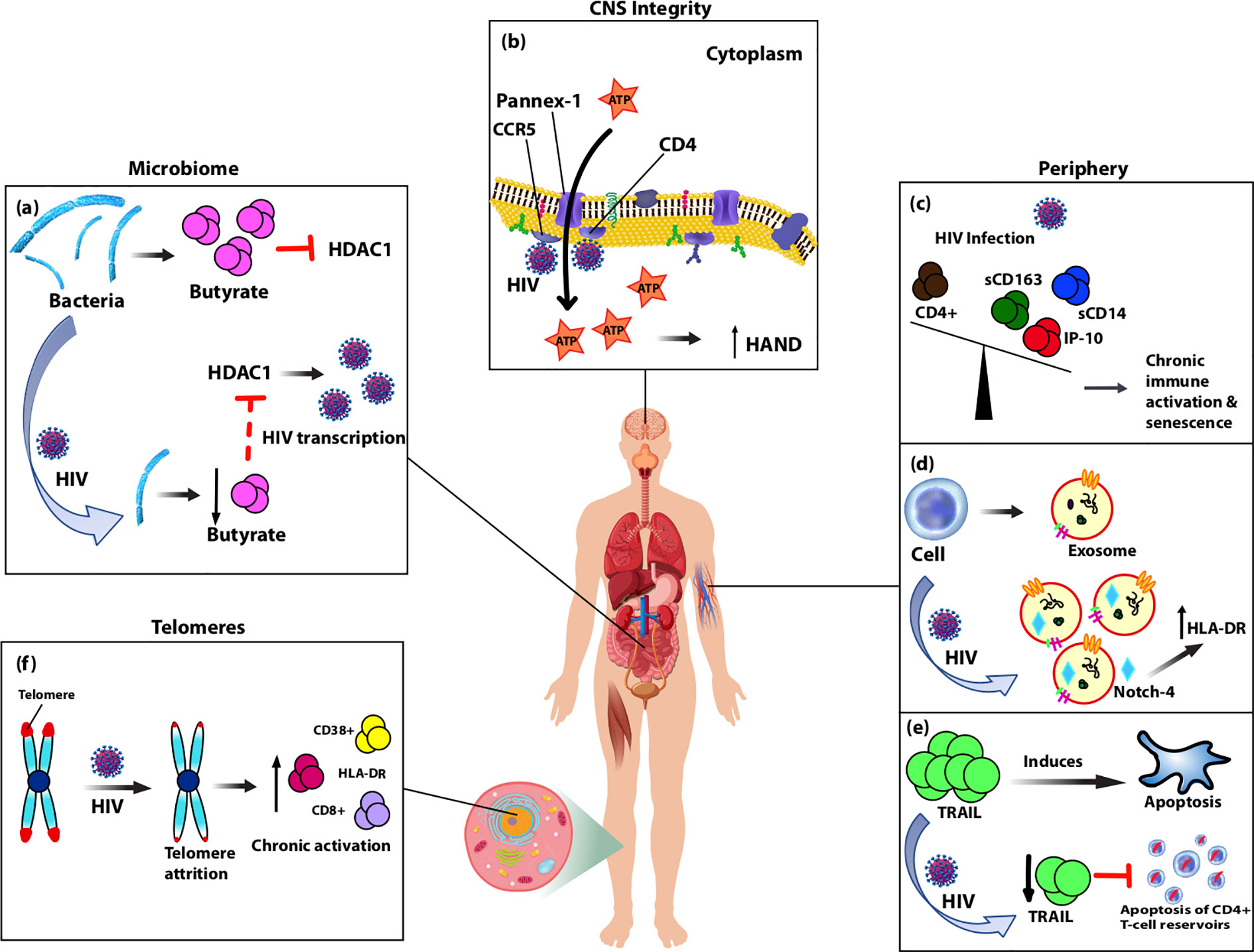 brief research report frontiers in immunology