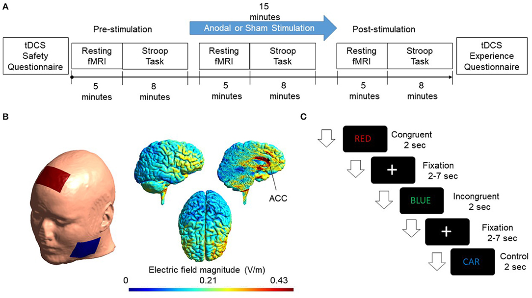 dorsolateral prefrontal cortex tdcs