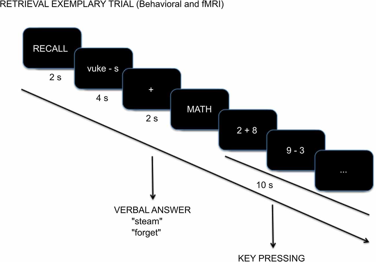 Top-down signal from prefrontal cortex in executive control of memory  retrieval