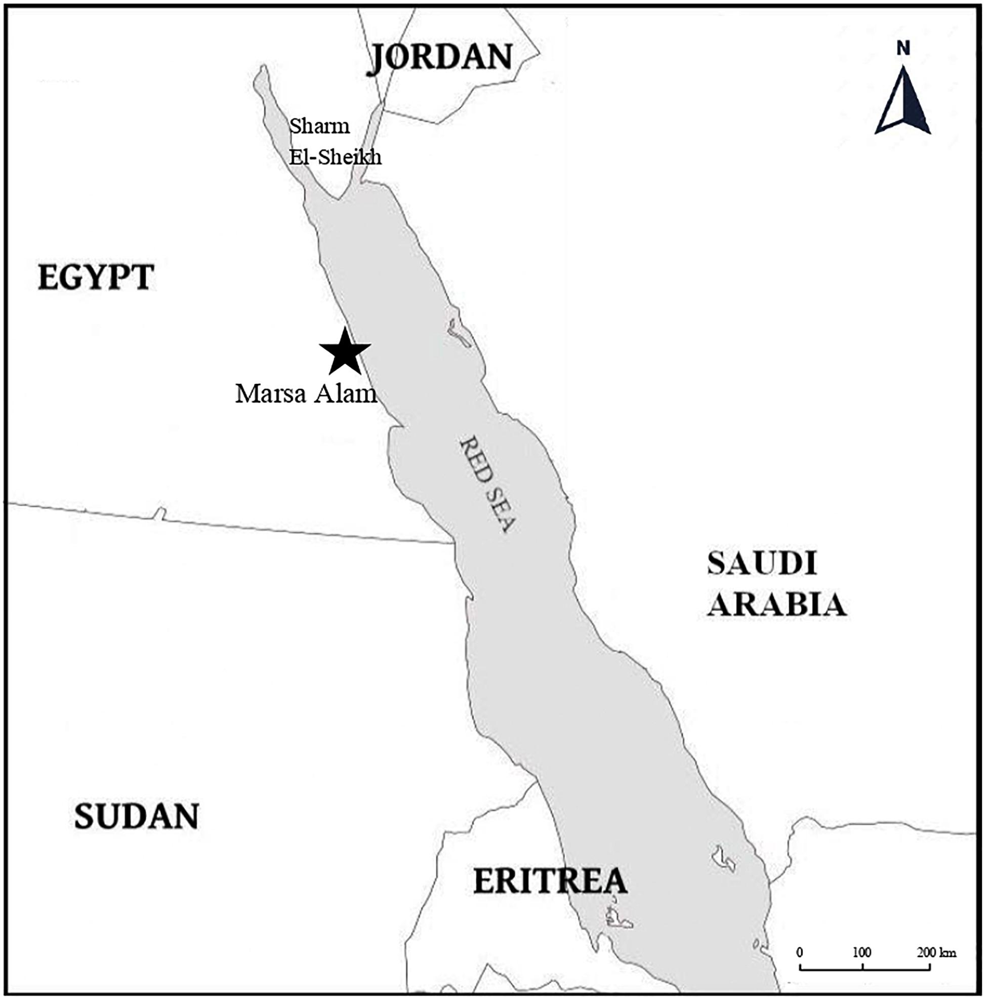 www.frontiersin.org