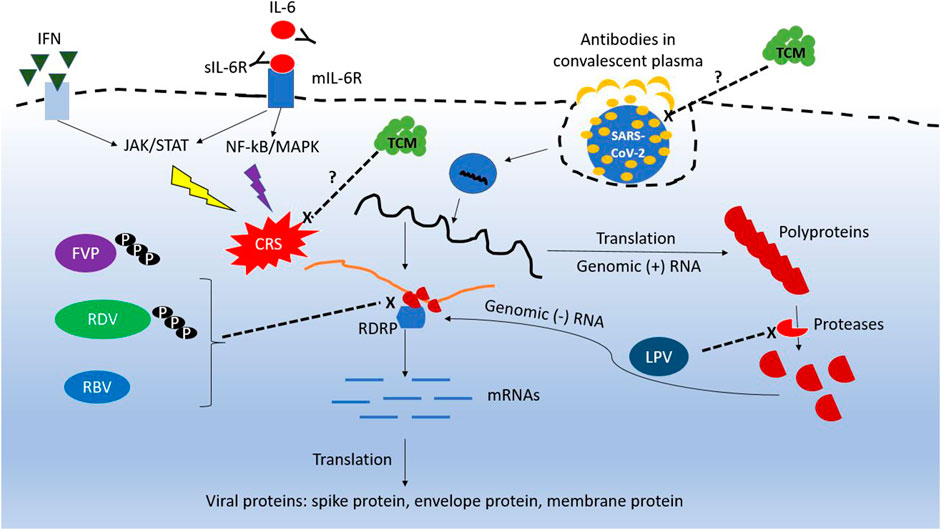 antiviral treatment for covid-19 the evidence supporting remdesivir