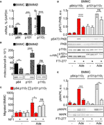 capto plasmid select capto plasmid select