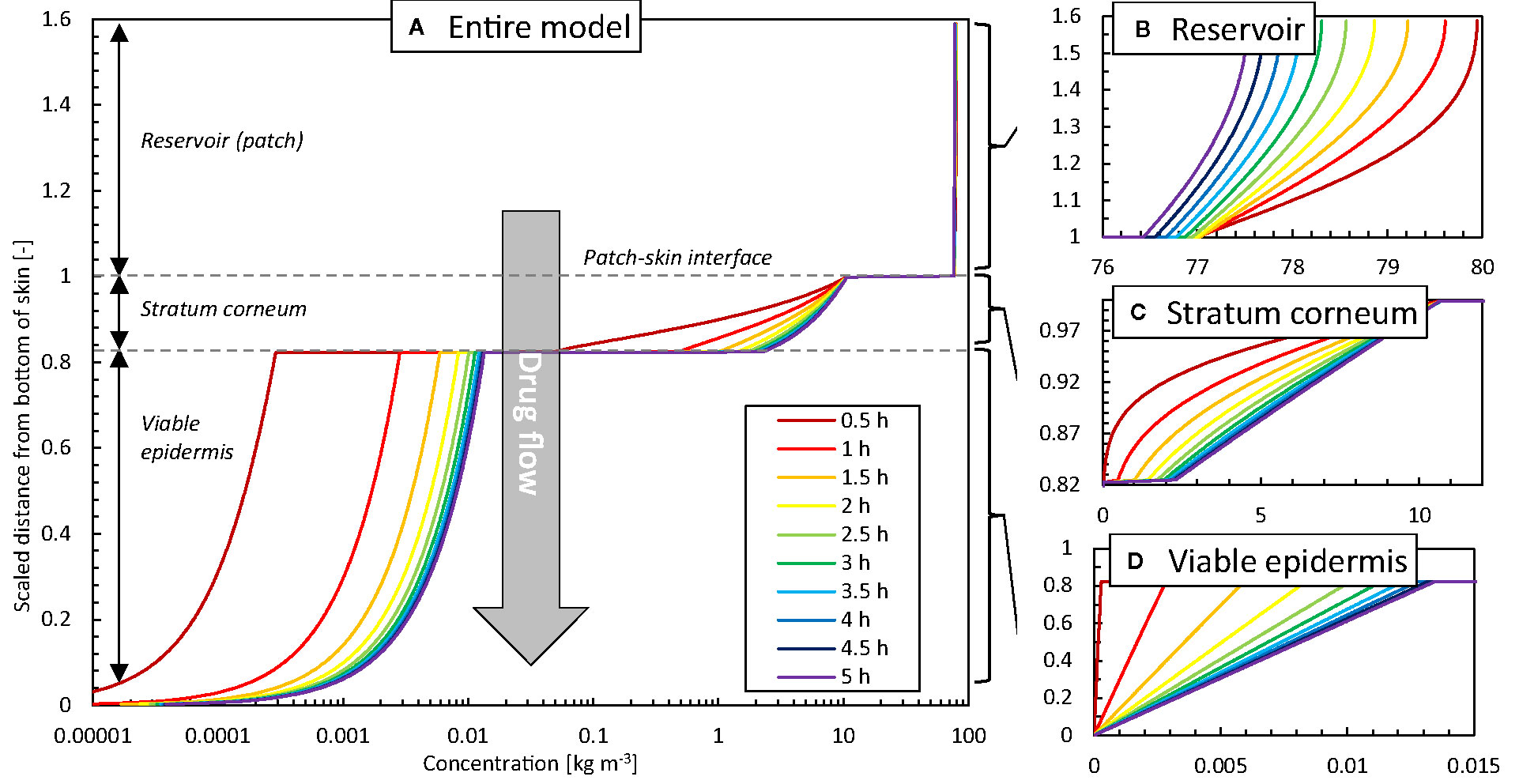 Predicting transdermal fentanyl delivery using mechanistic simulations for  tailored therapy