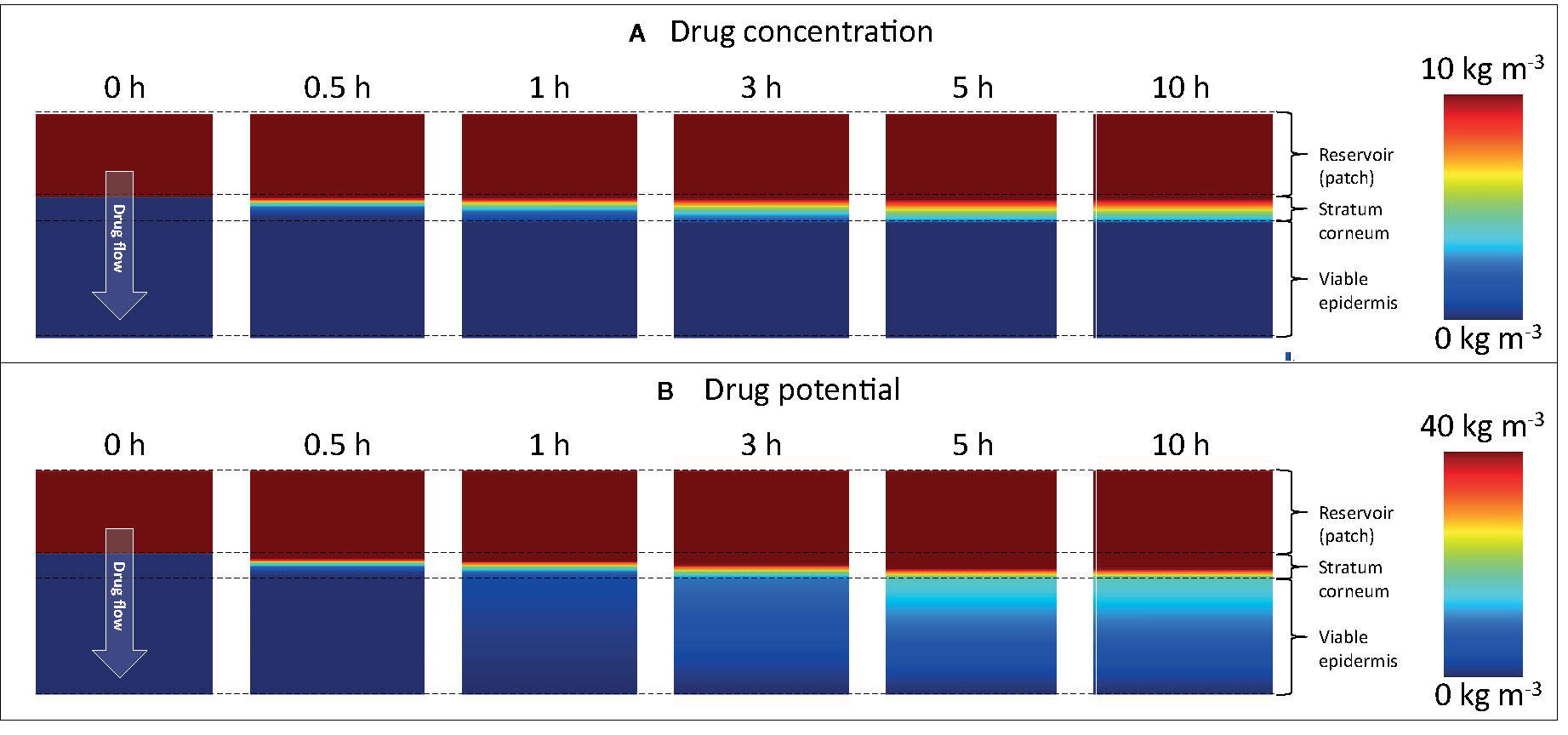 Predicting transdermal fentanyl delivery using mechanistic simulations for  tailored therapy