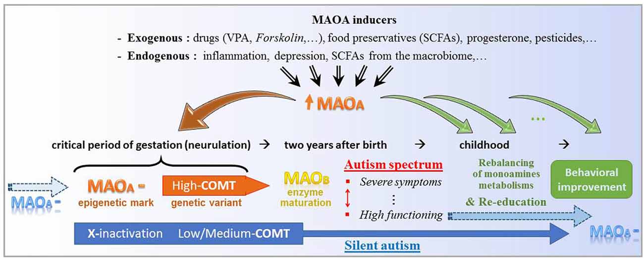 Factor reumatoide menor de 20 que significa