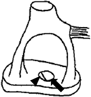 www.frontiersin.org