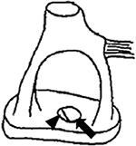 www.frontiersin.org
