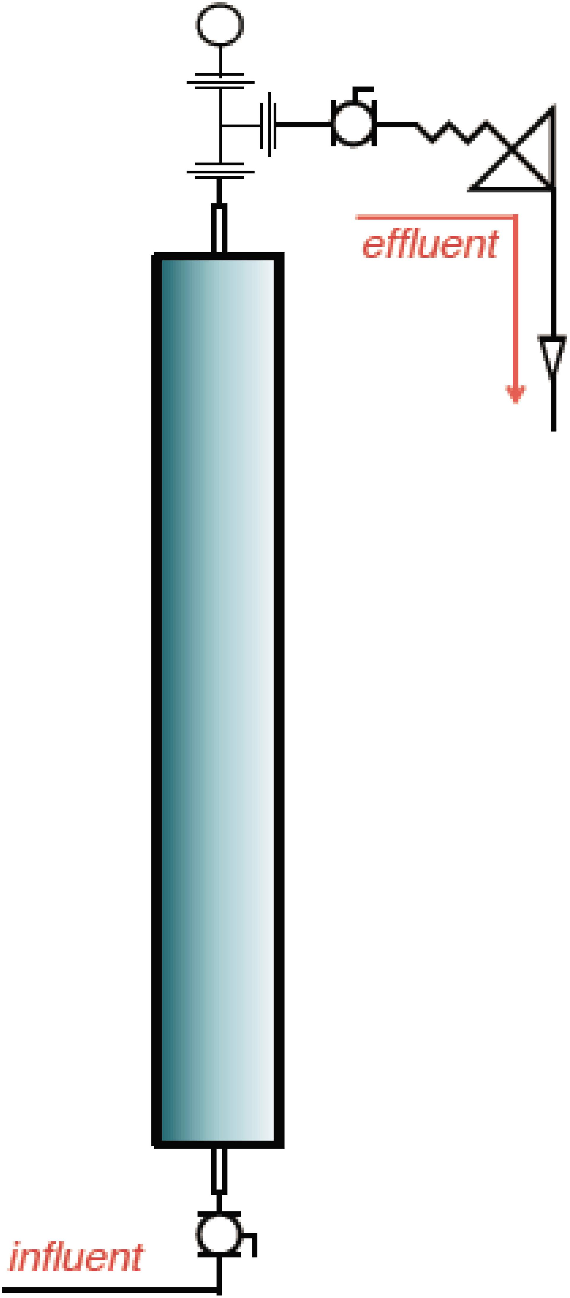 www.frontiersin.org