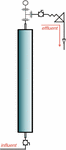 www.frontiersin.org
