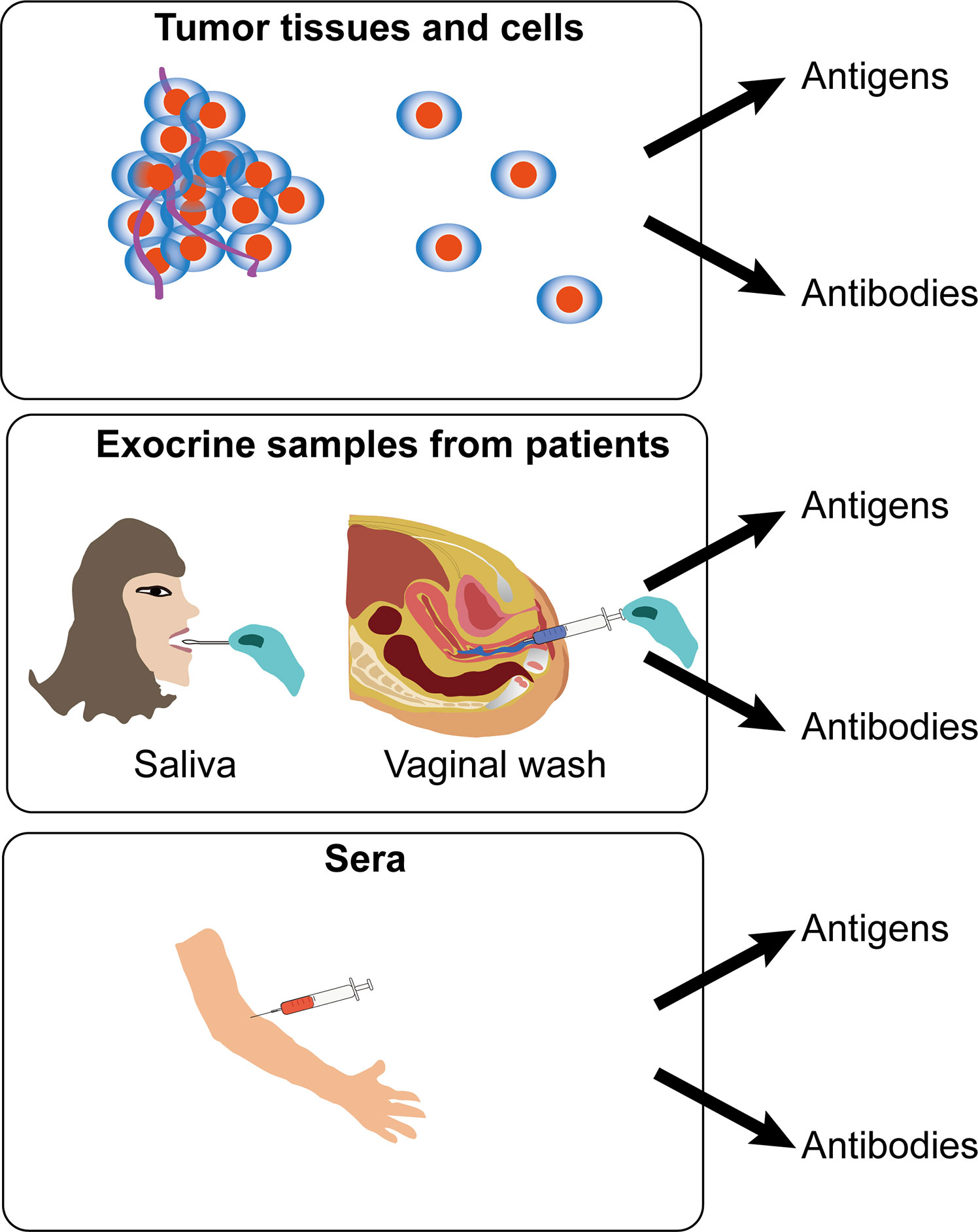 diagnosis of papillomavirus