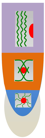 www.frontiersin.org