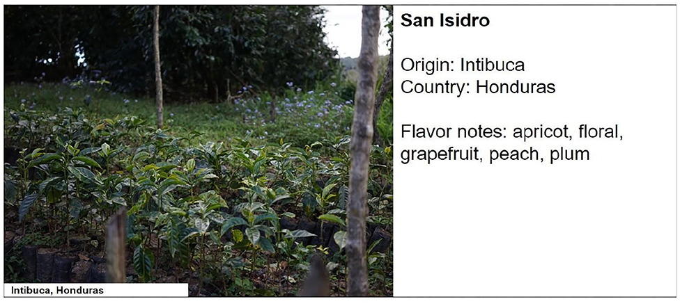 www.frontiersin.org