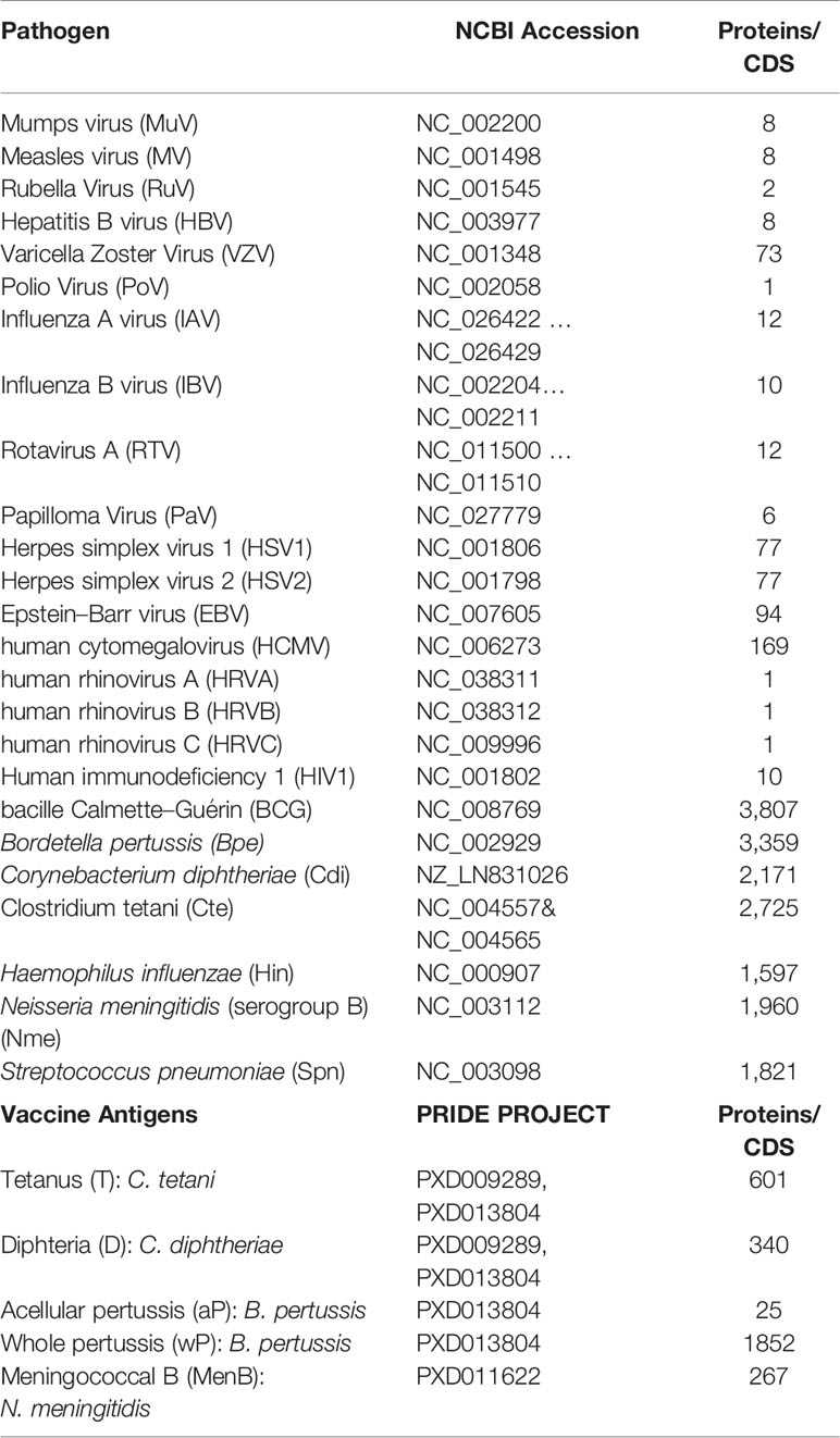 Frontiers Potential Cross Reactive Immunity To Sars Cov 2 From Common Human Pathogens And Vaccines Immunology