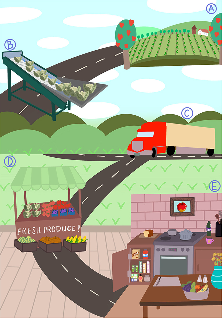 Figure 1 - The farm-to-fork journey.