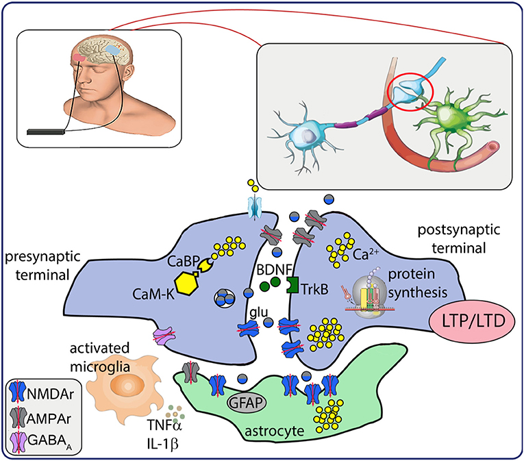 Frontiers  Safety and efficacy of electrical stimulation for