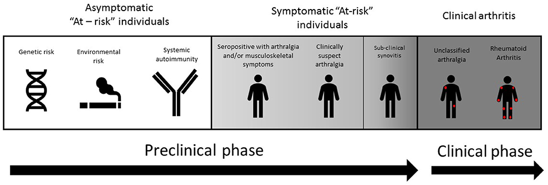 Association Between Sum of Synovitis Grades Across the Medial and