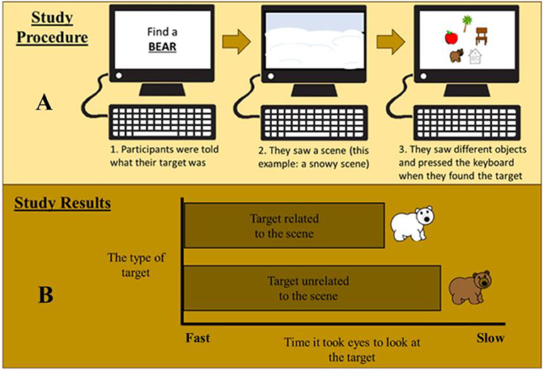 Figure 3 - (A) In our study, participants were first given a search category, in this case “bear.”
