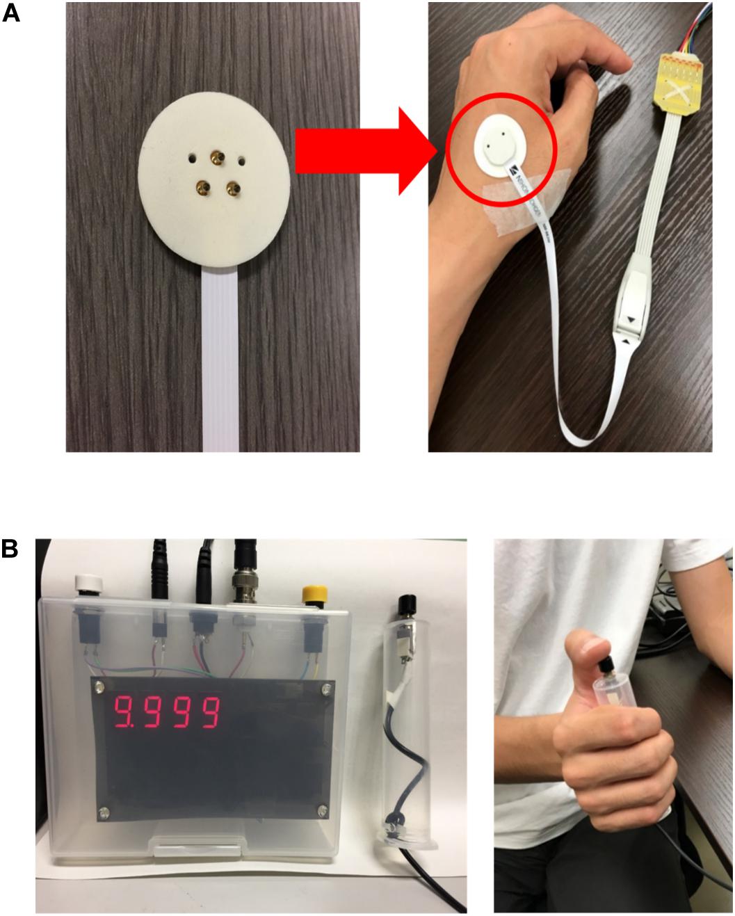 ELECTROSTIM-DT Electronic Muscle Stimulator, Buy Online