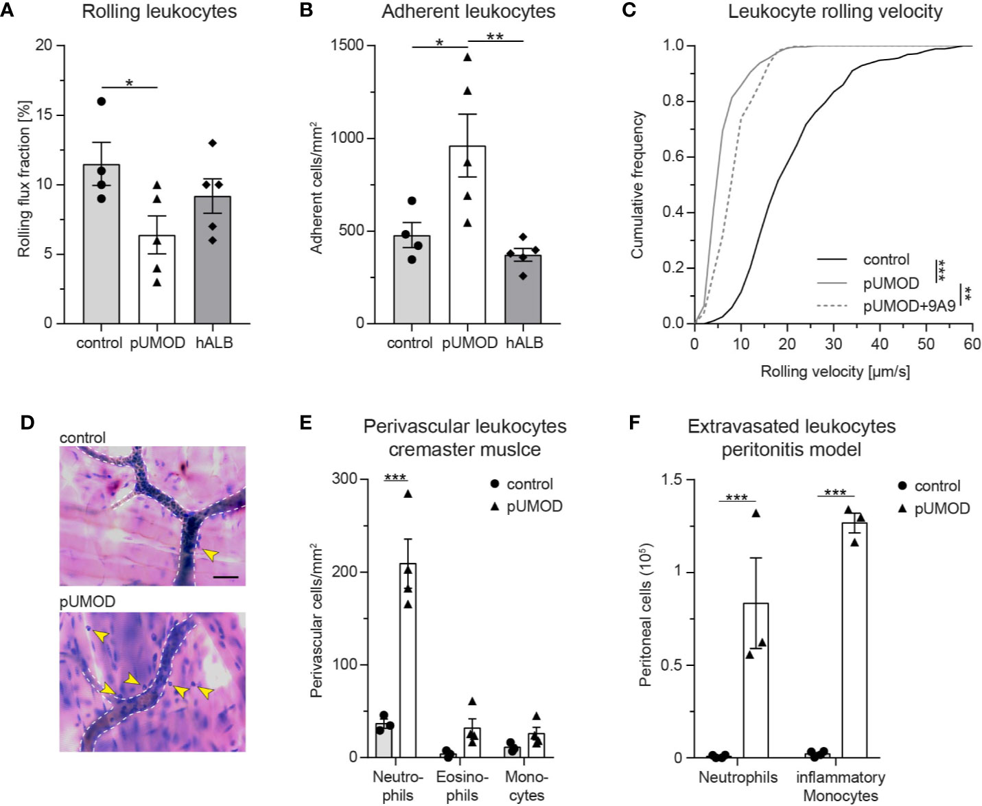 Frontiers Extratubular Polymerized Uromodulin Induces Leukocyte Recruitment And Inflammation In Vivo Immunology